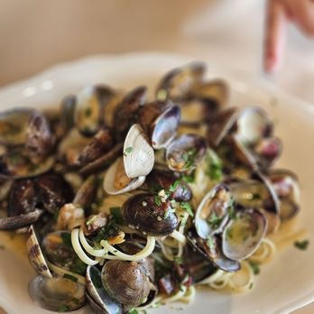 The Pink Door signature dishes Linguine Alle Vongole
Pappardelle Al Ragu Bolognese
Squid Ink Pasta